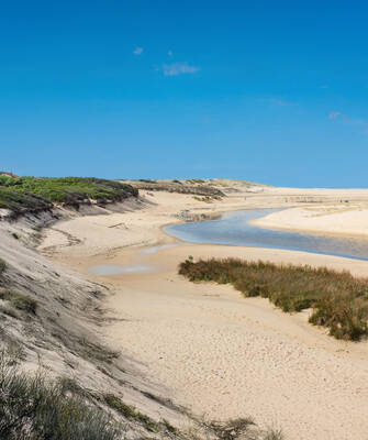 reserve-naturelle-courant-huchet